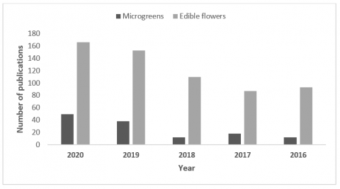 Graph to show number of publications of Microgreens vs Edible flowers