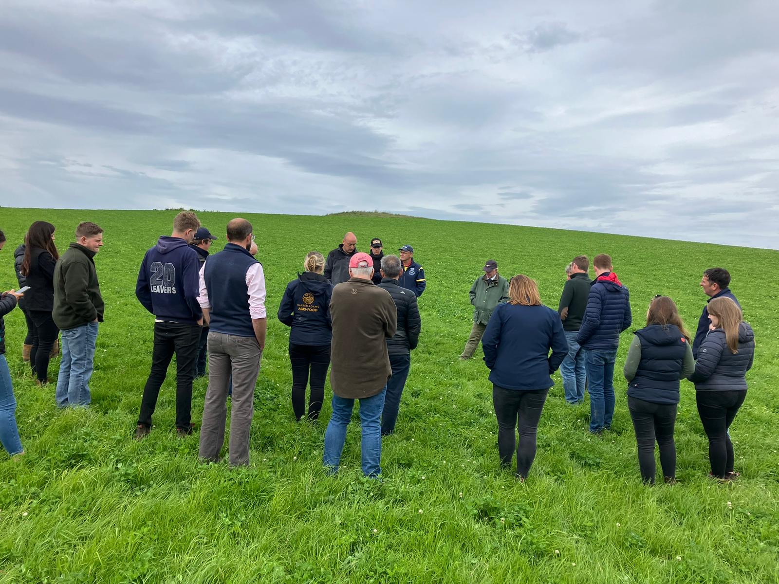 MasterGrass and MasterRegen