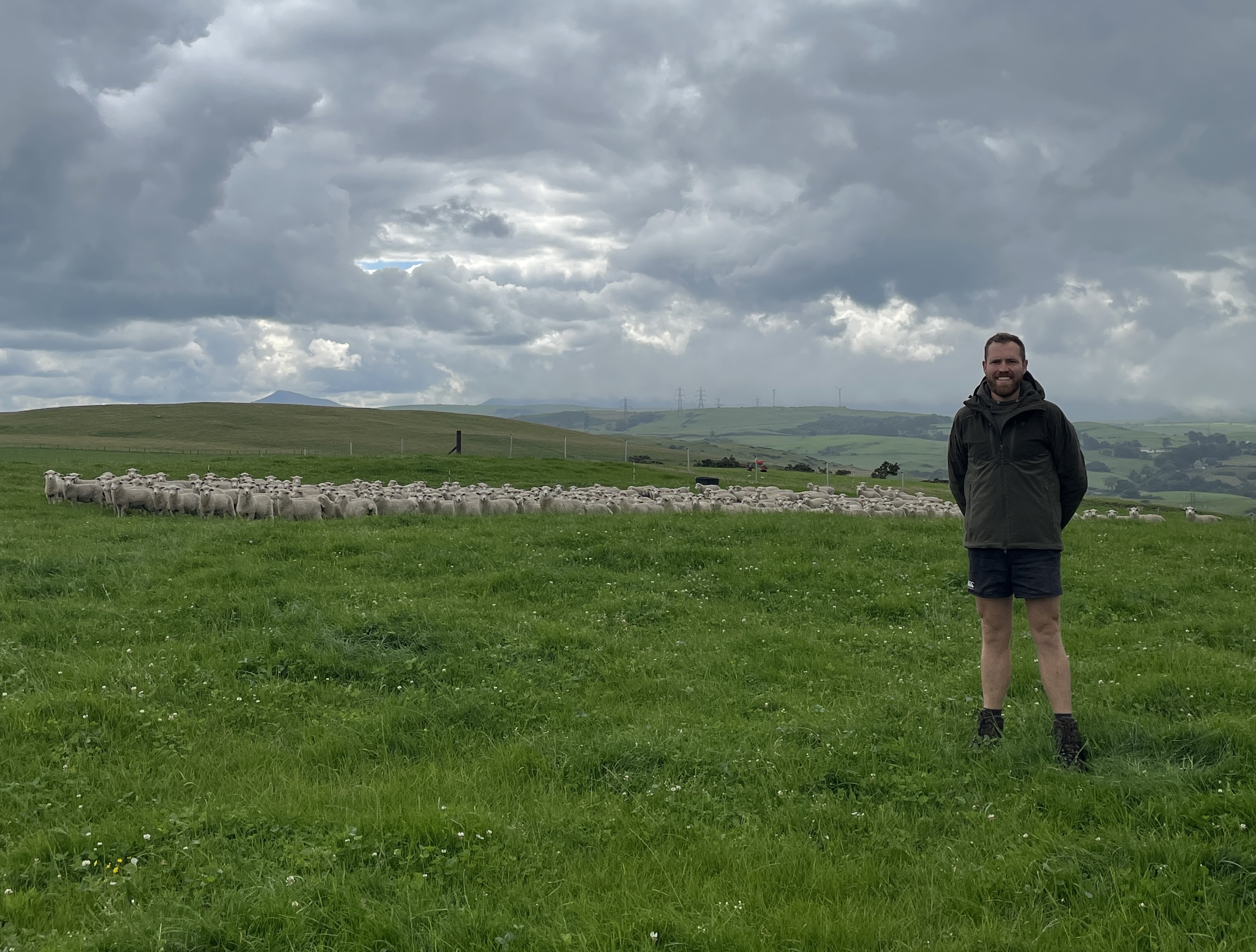 Dafydd Owen and his sheep