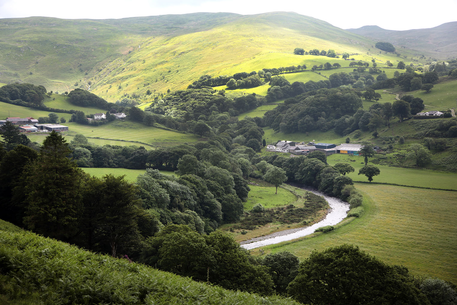 Farming Connect’s Our Farms Network welcomes 12 New Farms