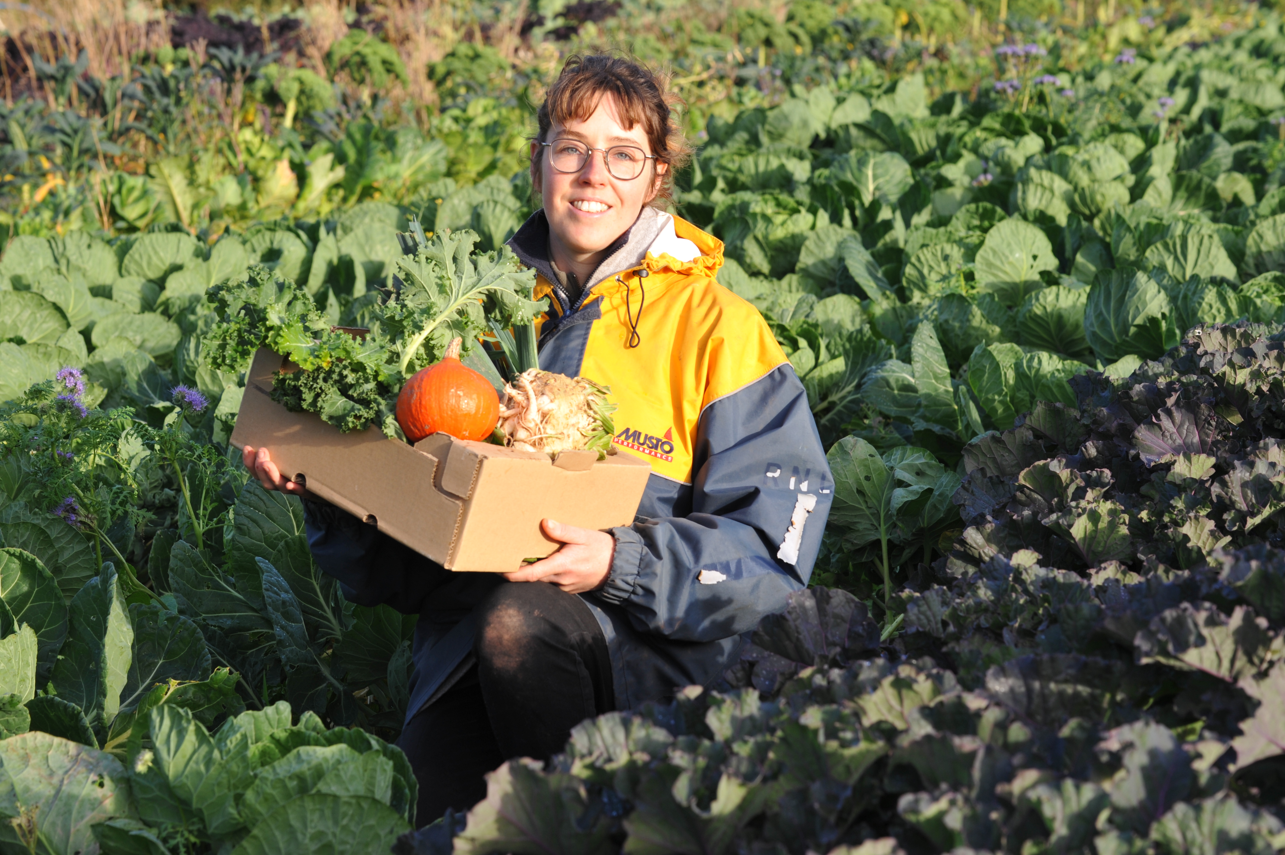 Small Growers Standard helps Pembrokeshire market garden win new business