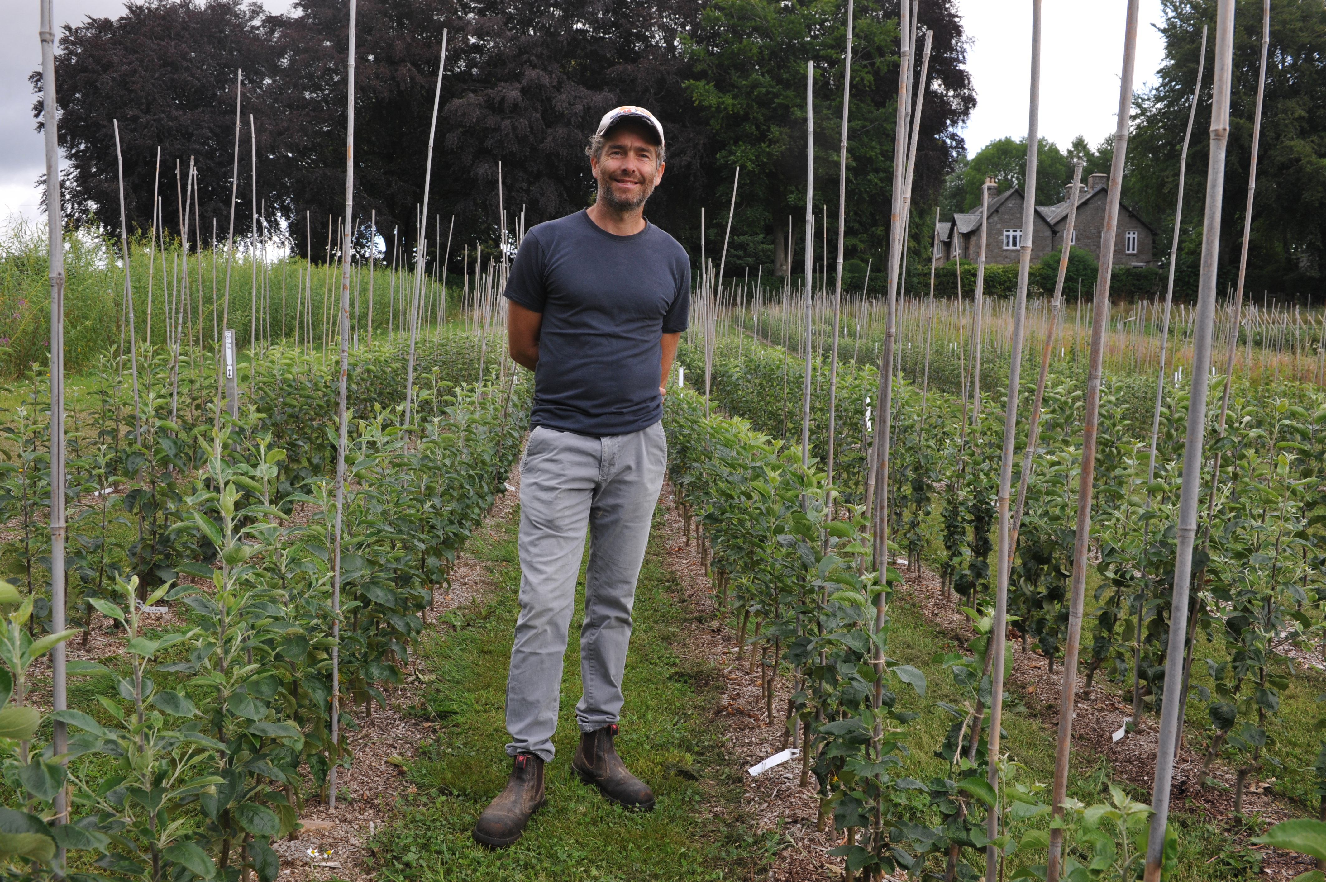 Welsh fruit tree grower