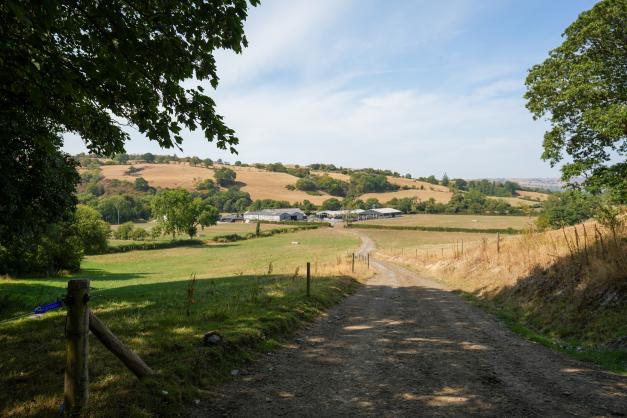 Picture of Ty'n Ddôl Farm