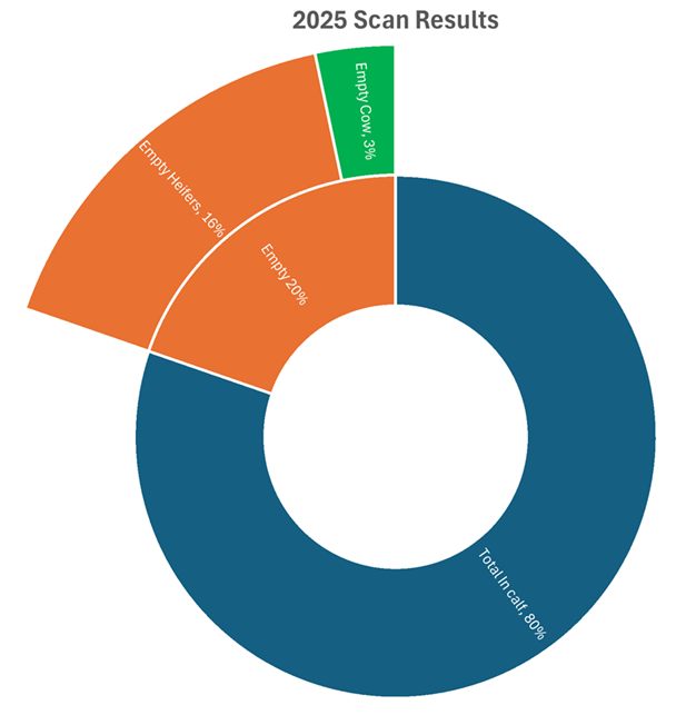  Figure  1: Herd scanning results for 2025
