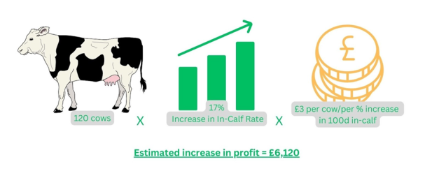 Economic benefit of improvement in 100-day in calf rate