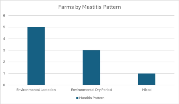mastitis