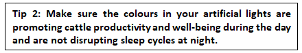 explanation of colour in artificial lights.