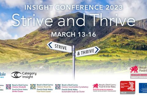 Insight Conference 2023: Strive and Thrive