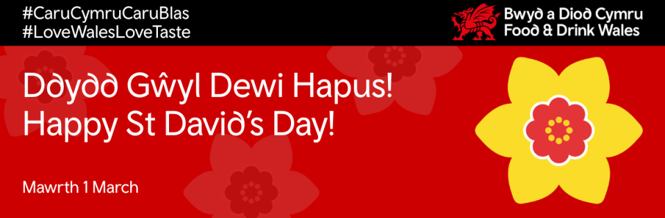 St Davids Day banner with a yellow daffodil