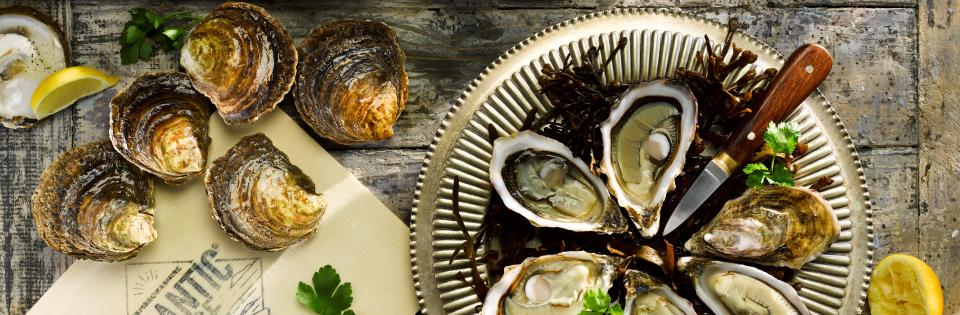 Pembrokeshire Rock Oysters and Pembrokeshire Native Oysters on a plate and wooden serving board