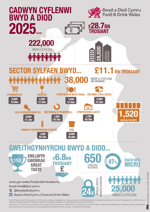 Economic Appraisal infographic 2025 
