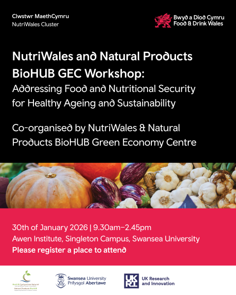 Workshop announcement for NutriWales and Natural Products BioHUB GEC on food and nutritional security, held at Swansea University on January 30, 2026. 