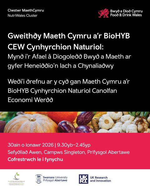 Gweithdy Nutri Wales a Chynhyrchion Naturiol Bio HUB GEC: Mynd i'r Afael â Diogelwch Bwyd a Maeth ar gyfer Heneiddio'n Iach a Chynaliadwyedd. Wedi'i drefnu ar y cyd gan Nutri Wales a Chanolfan Economi Werdd Cynhyrchion Naturiol Bio HUB. Yr amser ar gyfer y digwyddiad yw 30 Ionawr 2026 o 9.30yb i 2.45yp. Mae'r lleoliad wedi'i fanylu fel yn Sefydliad Awen, Campws Singleton, Prifysgol Abertawe.