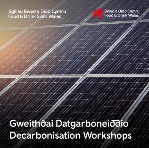 Solar panels with Food & Drink Wales logo top right, Food and Drink Skills Wales Logo top left, text at the bottom reads "Decarbonisation Workshops".