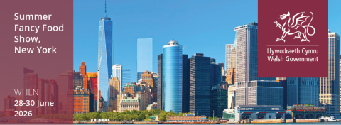 New York Skyline