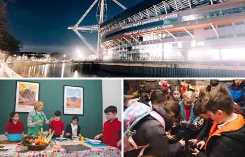 Torfaen Food Summit and Cardiff light project.