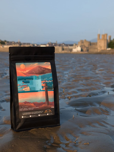 Y Fenai_Castle in background