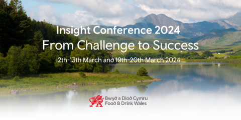 Insight Conference 2024