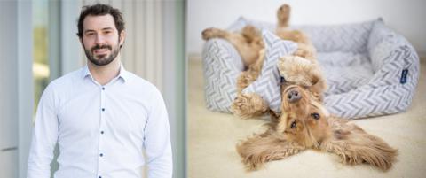 Project Blu Founder Geryn Evans.  |  A happy pooch in a Project Blu pet bed.