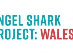 Angel Shark Project: Wales