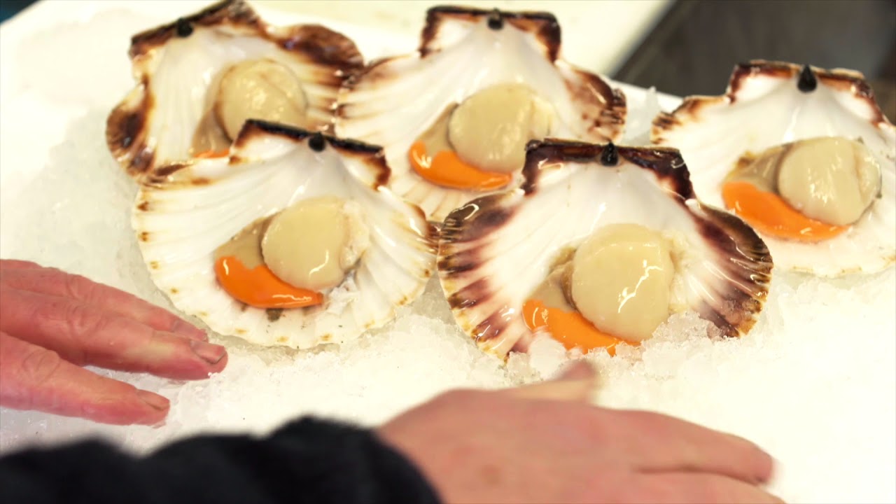 This is Seafood – This is Wales video