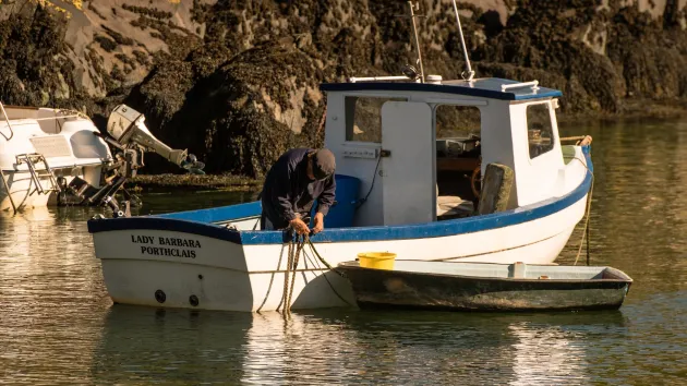 Porthclais harbour Ty Ddewi St Davids Pembrokeshire Wales