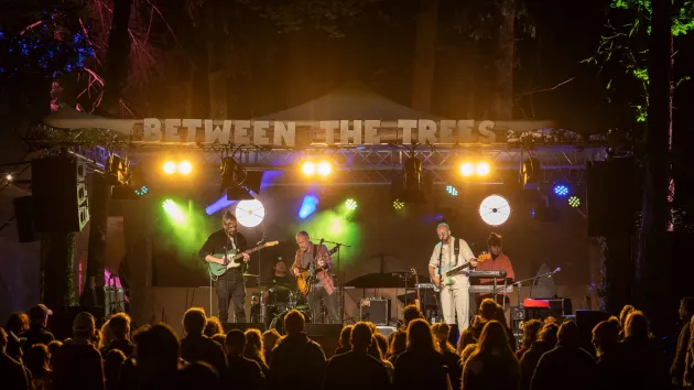 Between the trees festival