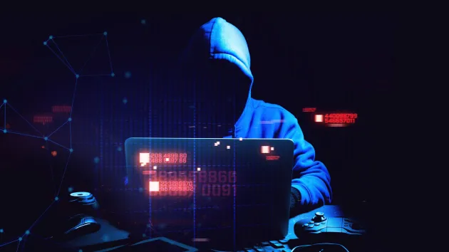 Cyber hacker 