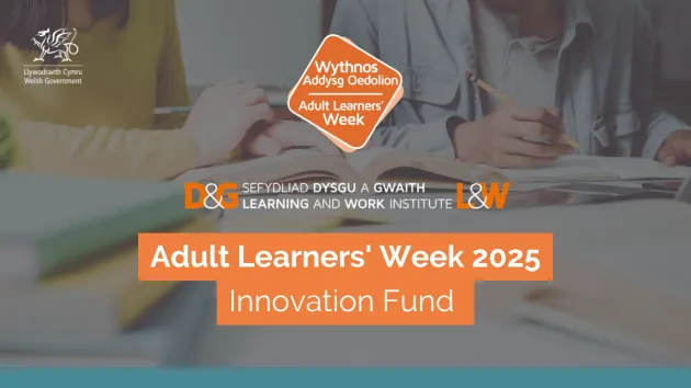 Innovation Learning Fund - text 
