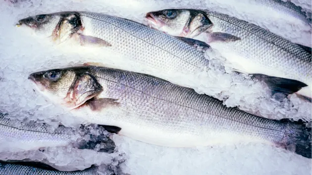 fish - Bass - on ice 
