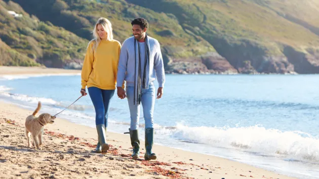 Couple and dog walking on a beach 
