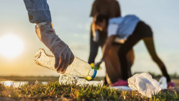 Volunteers litter picking 