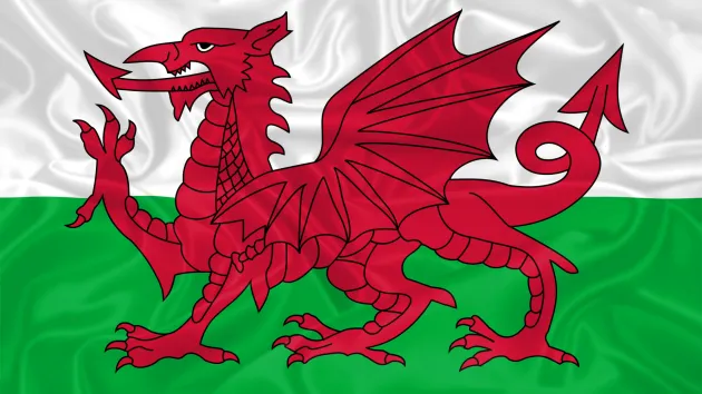 Welsh Flag 