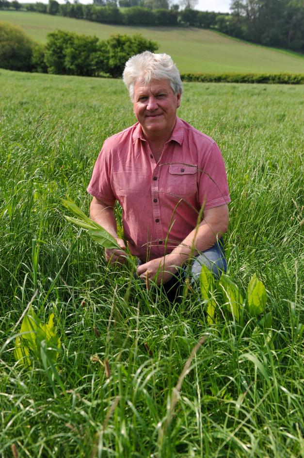 David and Will Lewis are trying to identify the most effective ley composition for maximising lamb performance post weaning