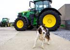 Tractor and dog