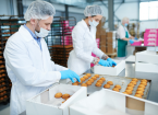 Confectionery factory employees in white coats collecting freshly baked pastry from tray and putting it into paper boxes.