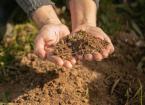 person holding soil 