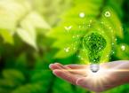 Sustainability concept lightbulb 