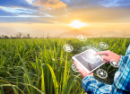 Innovation technology for smart farm system