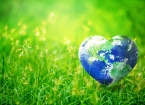 Earth in Heart shape on green grass on sunlight,