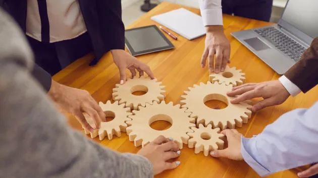 Business Management team 