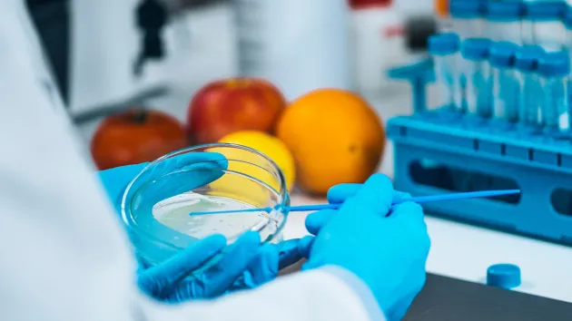 Food safety testing in a lab 