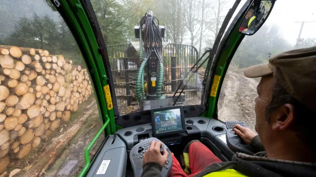 Forestry worker in Wales 