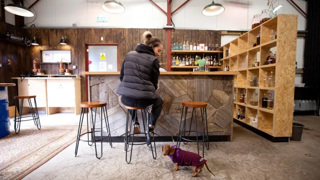 Dog friendly pub - person and dog in a pub
