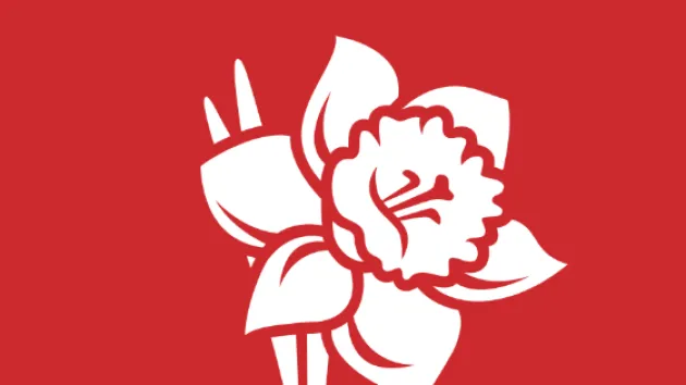 01 03 Dydd Gwyl Dewi/St David's Day 