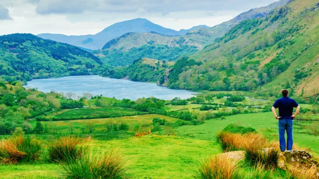 Farmer looking out at his land 
