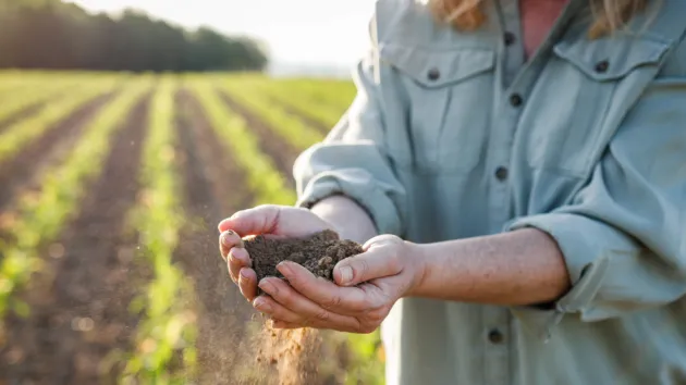 Farmer - holding dry soil 
