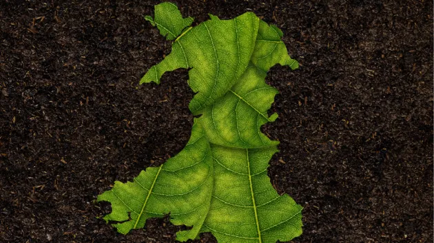 Map of Wales - leaves 