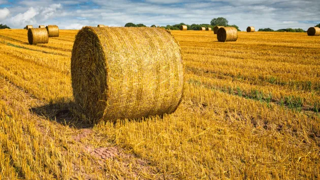 Hay Bales