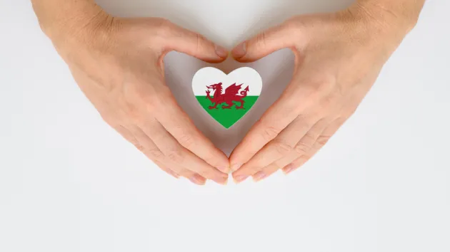 hands and Welsh flag in the shape of a heart
